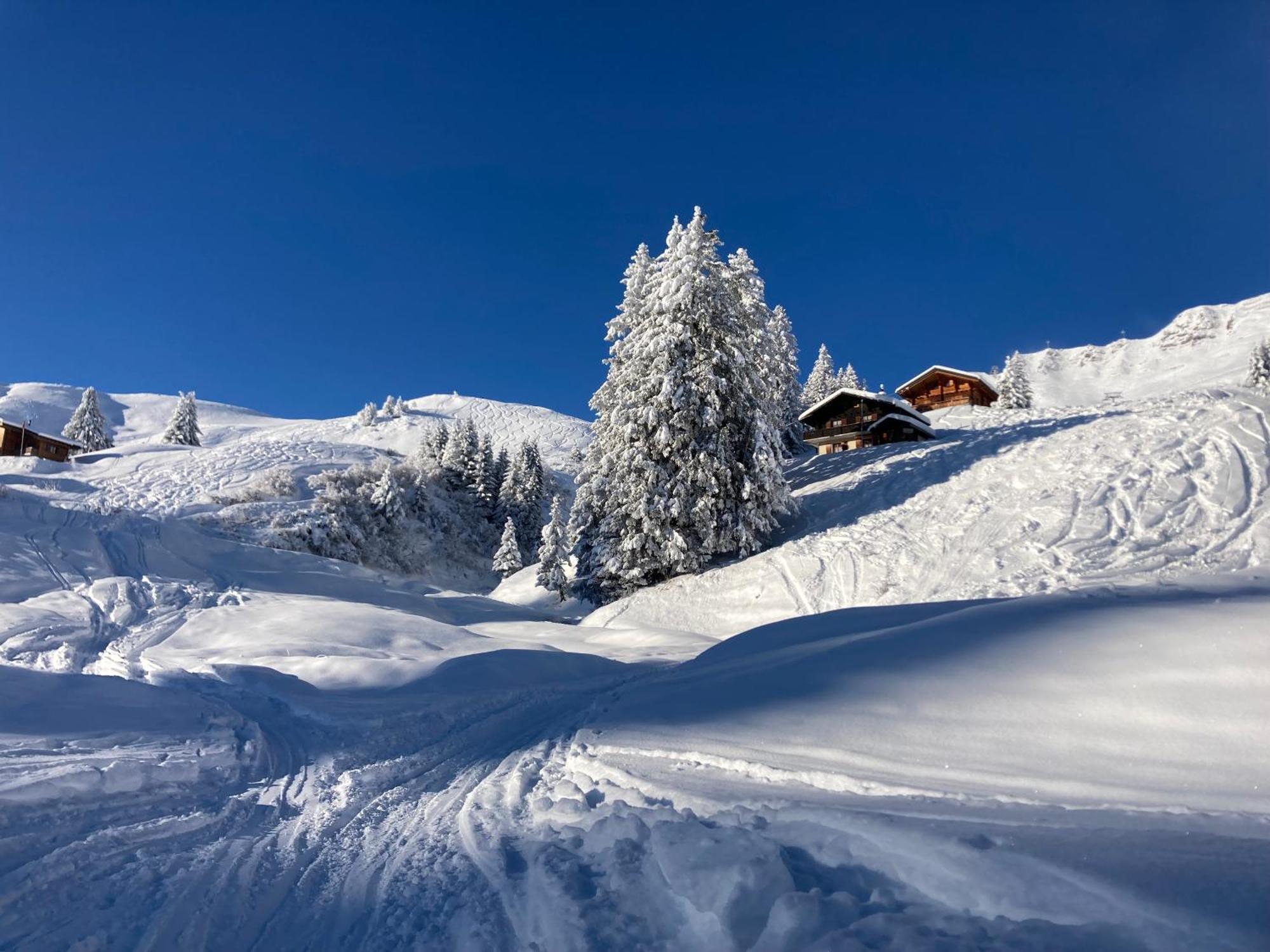 B&B Chalet Rey-Bellet Les Crosets Εξωτερικό φωτογραφία